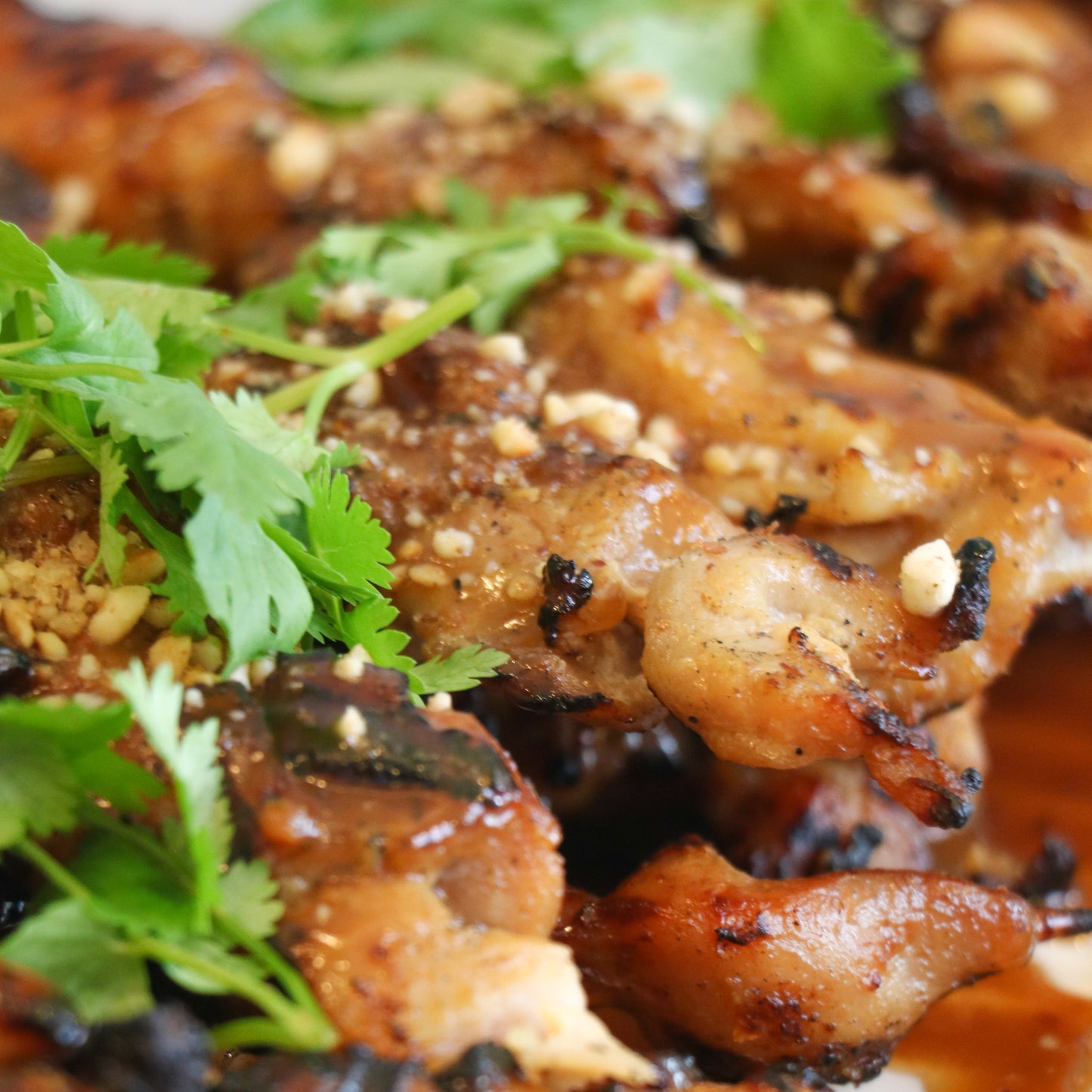Chicken Satay Party Tray (8-10 pax)